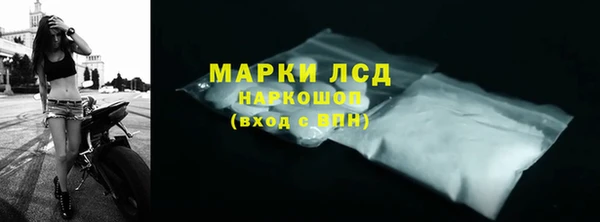 спайс Арсеньев