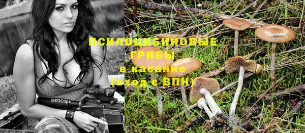 гидропоника Алексеевка