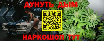 прущие крисы Нарткала