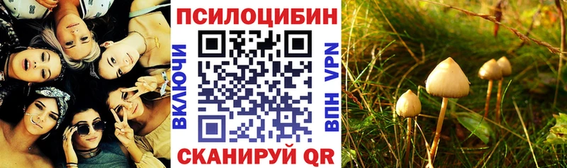 Галлюциногенные грибы GOLDEN TEACHER  Уссурийск 