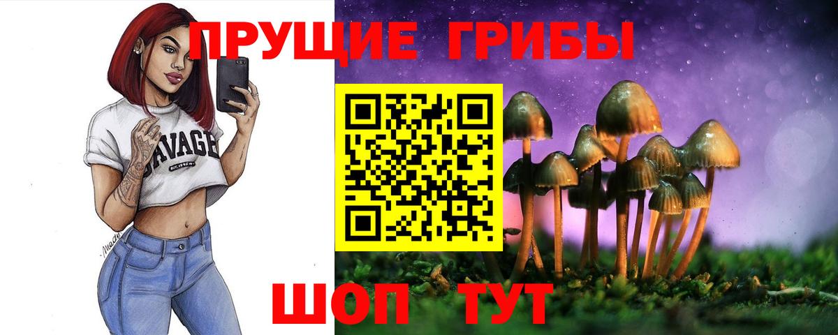 Псилоцибиновые грибы GOLDEN TEACHER Уссурийск